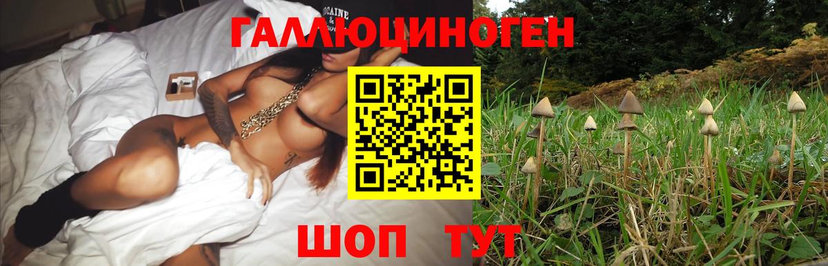 Галлюциногенные грибы мухоморы Озёры